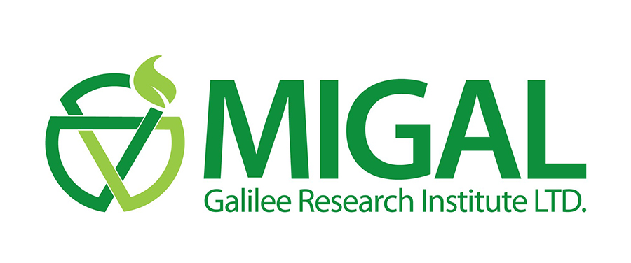 MIGAL——以色lie研jiu機gou