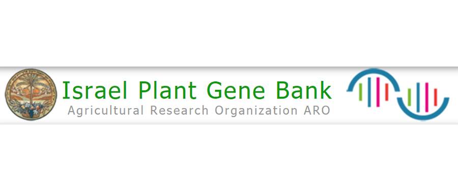 Israel Plant Gene Bank——以色列植物基因库