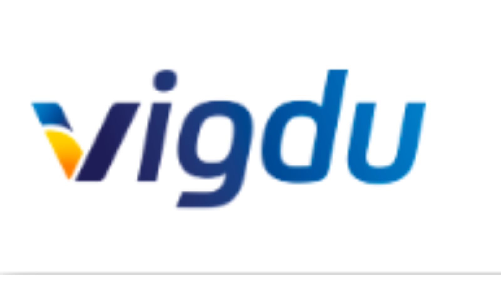 Vigdu,提升光伏效率的解决方案