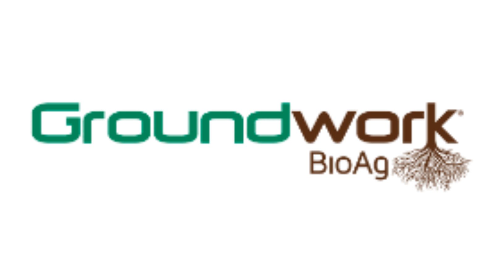 Groundwork BioAg®团队，创新地生产出高效的菌根接种剂