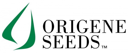 Origene Seeds——植物繁殖材料,葫芦科植物育种