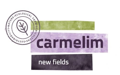 Carmelim-为以色列市场种植，包装和分销新鲜的优质作物