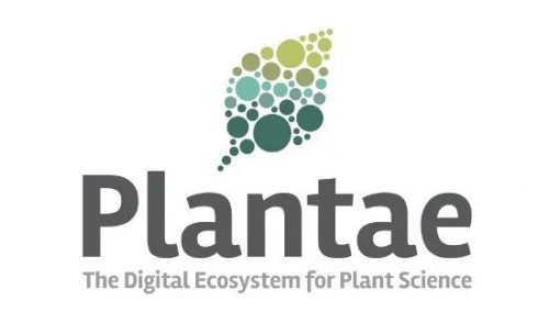 Plantae BioSciences,加速发展以创建新的以工厂为中心的解决方案