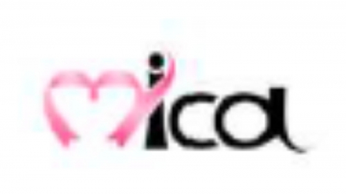 MICA AI MEDICAL—一个用于乳腺癌预防的决策支持信息中心和病历平台